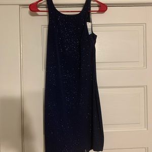 navy blue sparkly dress
